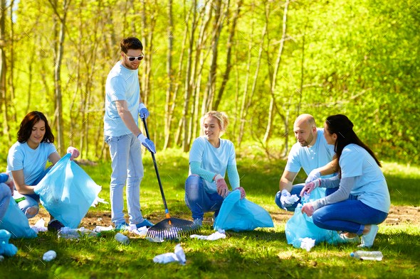 Cleaning the forest from debris